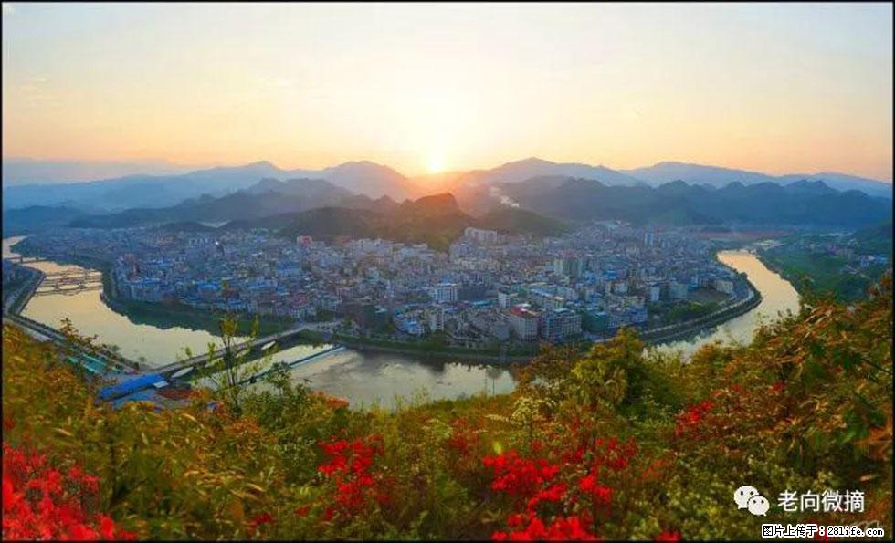 【春天,广西桂林灌阳县向您发出邀请!】登麒麟山,相约映山红 - 游山玩水 - 北海生活社区 - 北海28生活网 bh.28life.com