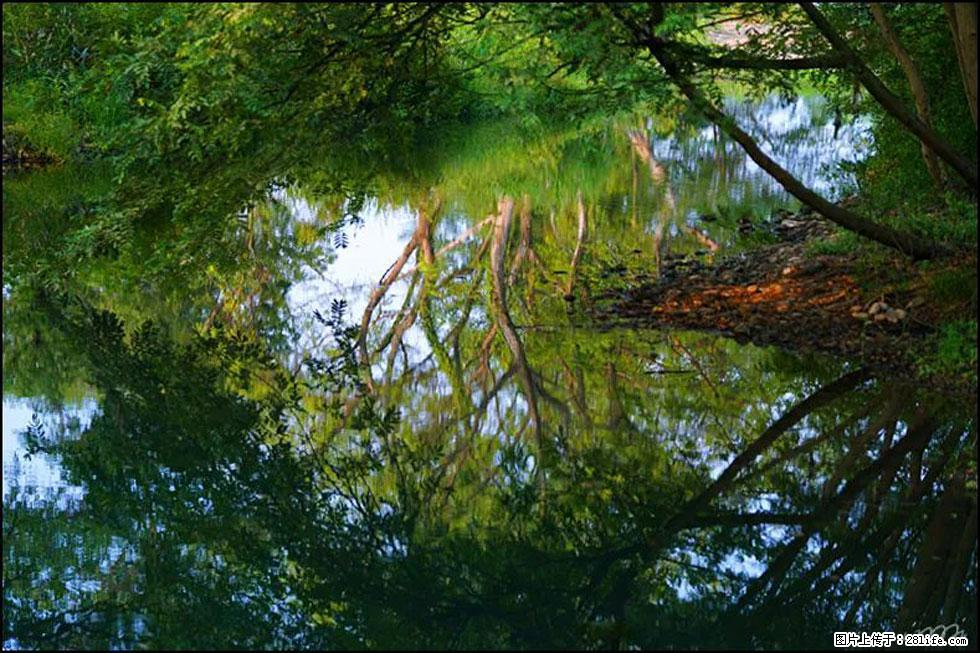 【春天,广西桂林灌阳县向您发出邀请!】熊家寨湿地公园 - 游山玩水 - 北海生活社区 - 北海28生活网 bh.28life.com
