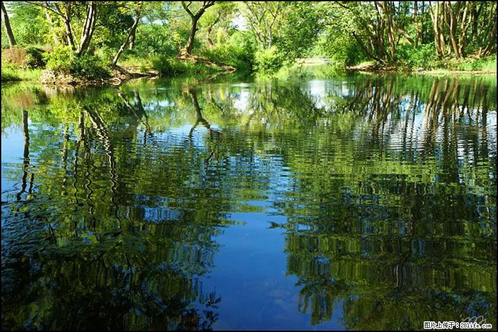 【春天,广西桂林灌阳县向您发出邀请!】熊家寨湿地公园 - 游山玩水 - 北海生活社区 - 北海28生活网 bh.28life.com