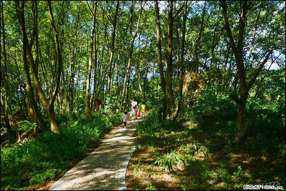 【春天,广西桂林灌阳县向您发出邀请!】熊家寨湿地公园 - 游山玩水 - 北海生活社区 - 北海28生活网 bh.28life.com