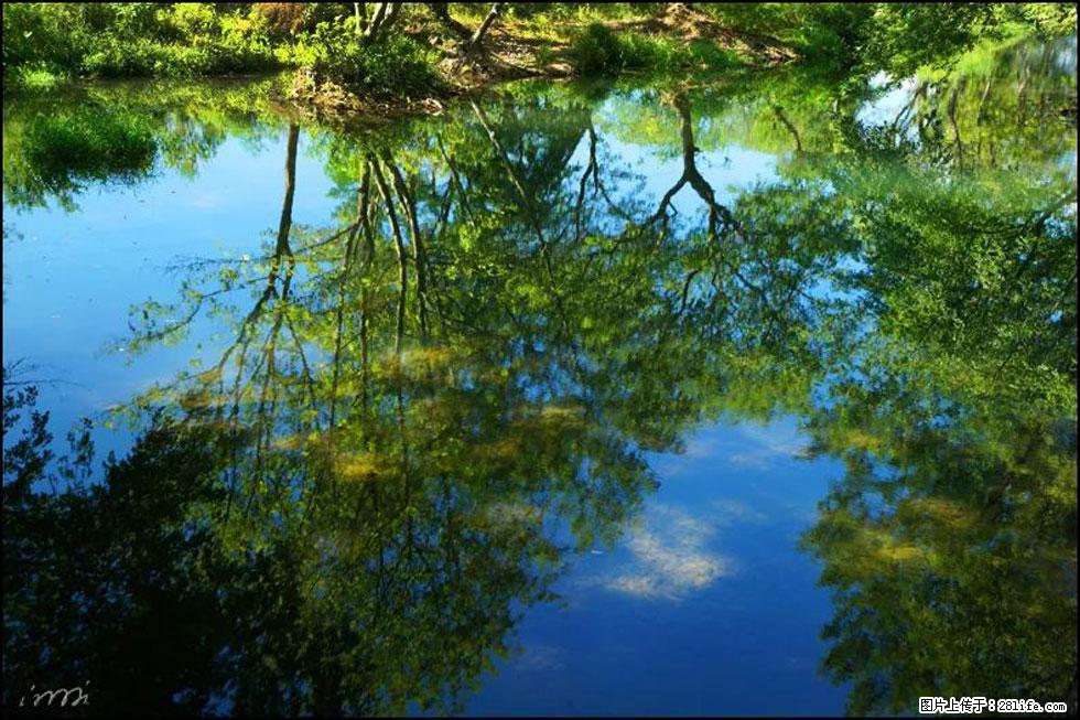 【春天,广西桂林灌阳县向您发出邀请!】熊家寨湿地公园 - 游山玩水 - 北海生活社区 - 北海28生活网 bh.28life.com