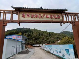 【灌阳县油茶产业示范区】一个有着充实的精神生活的人,对待身外之物自会有一种淡泊的态度 - 北海28生活网 bh.28life.com