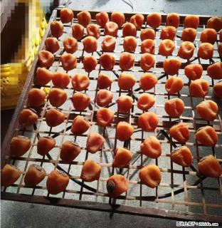 广西桂林平乐桥亭【柿饼之乡】2025年纯手工制作、无任何添加剂的第一批柿饼准备上市了，欢迎联系订购！ - 北海28生活网 bh.28life.com