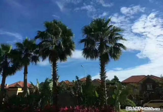 出租万达对面大四房价格便宜 - 房屋出租 - 房屋租售 - 北海分类信息 - 北海28生活网 bh.28life.com