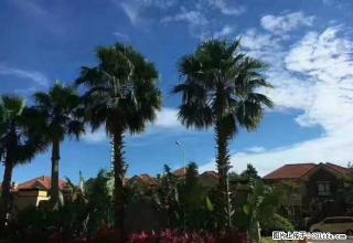 出租万达对面大四房价格便宜 - 北海28生活网 bh.28life.com