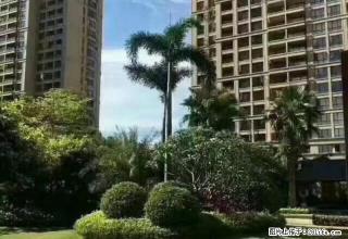 银海区森海豪庭精装一房 首次出租 - 北海28生活网 bh.28life.com