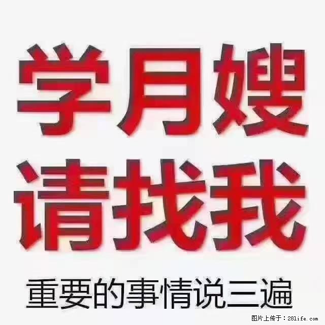 【招聘】月嫂,上海徐汇区 - 职场交流 - 北海生活社区 - 北海28生活网 bh.28life.com