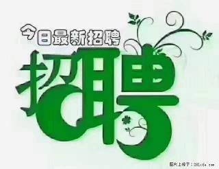 上海青浦区招仓管 - 北海28生活网 bh.28life.com