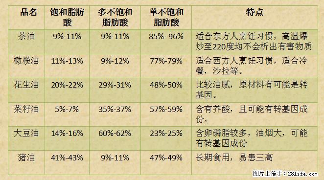 揭秘茶油的5大核心营养成分!被称为人体健康的“守护盾”! - 北海生活资讯 - 北海28生活网 bh.28life.com