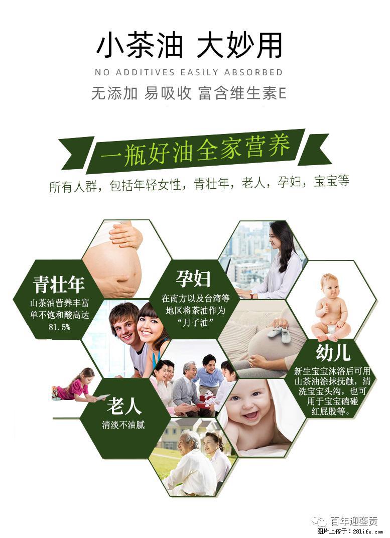 世界没有真相,只有认知,最好的食用油是中国的山茶油! - 北海生活资讯 - 北海28生活网 bh.28life.com