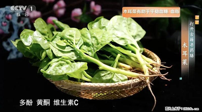 比牛奶补钙还厉害！凉血解毒、稳血糖...这菜冬天必吃，很多人却当草 - 北海生活资讯 - 北海28生活网 bh.28life.com