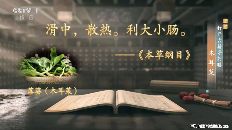 比牛奶补钙还厉害！凉血解毒、稳血糖...这菜冬天必吃，很多人却当草 - 北海生活资讯 - 北海28生活网 bh.28life.com