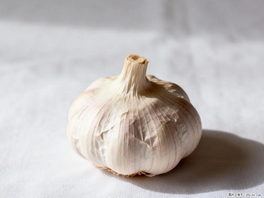 关于大蒜，除了“天然抗生素”，这4个谣言更该警惕! - 北海生活资讯 - 北海28生活网 bh.28life.com
