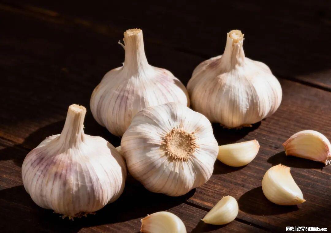 关于大蒜，除了“天然抗生素”，这4个谣言更该警惕! - 北海生活资讯 - 北海28生活网 bh.28life.com