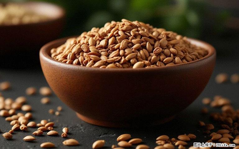 这三苦是三高“克星”，心血管干净不易堵！每天吃一点，指标慢慢降下来~ - 北海生活资讯 - 北海28生活网 bh.28life.com