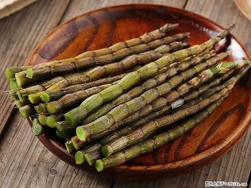 铁皮石斛的作用与功能主治 - 北海生活资讯 - 北海28生活网 bh.28life.com