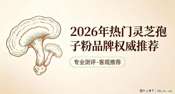 灵芝孢子粉含量越高越有效？2026 年七款热门品牌深度实测，肠胃敏感者避坑指南 - 北海生活资讯 - 北海28生活网 bh.28life.com