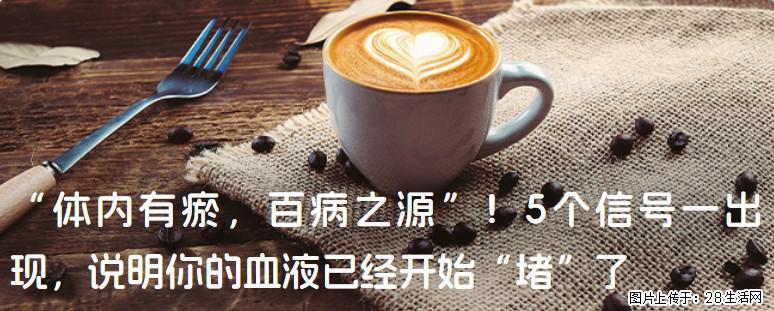 “体内有瘀,百病之源”!5个信号一出现,说明你的血液已经开始“堵”了 - 北海生活资讯 - 北海28生活网 bh.28life.com